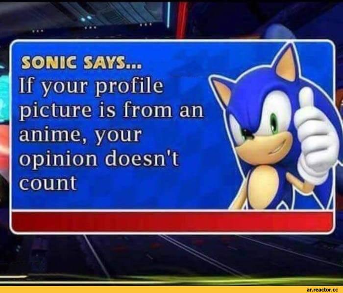 ﻿r
count
SONIC SAYS...
If your profile picture is from an anime, your opinion doesn't,Anime,RDR, Reshotka Democratic Republic,фэндомы