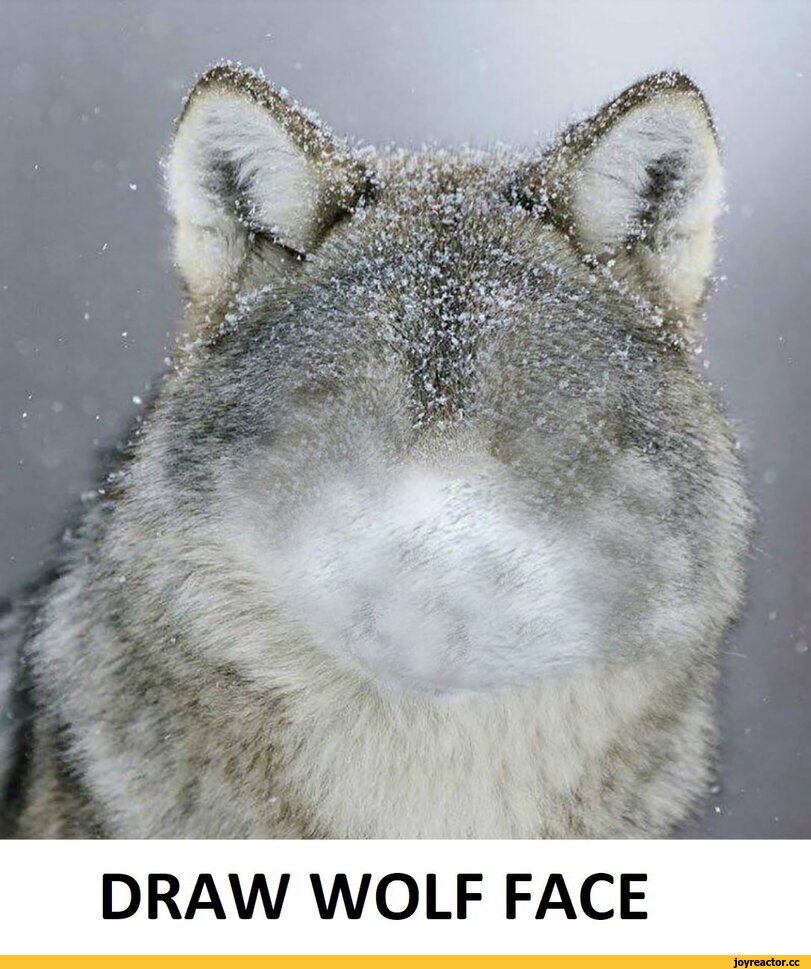 ﻿DRAW WOLF FACE,silverfox5213,artist,волк,арт