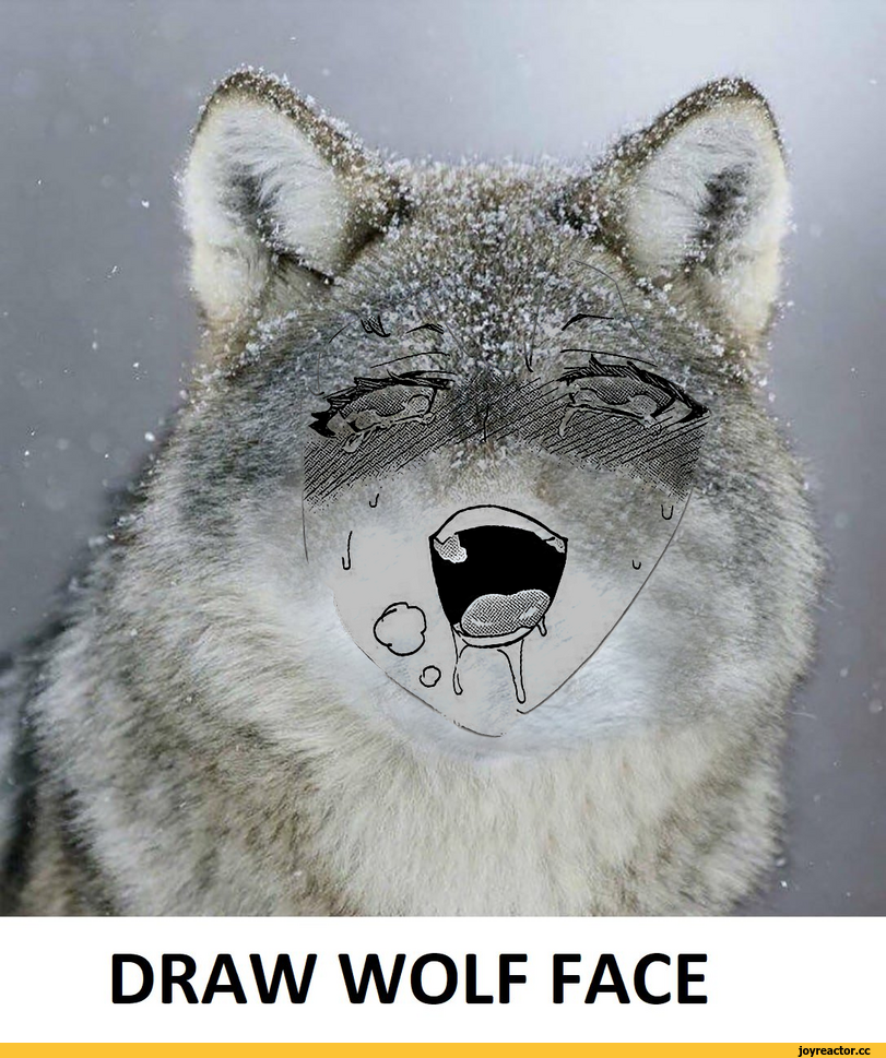 ﻿
DRAW WOLF FACE,silverfox5213,artist,волк,арт