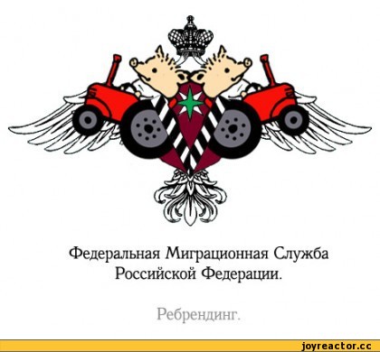 ﻿Федеральная Миграционная Служба Российской Федерации.
Ребрендинг.,гиф анимация,гифки - ПРИКОЛЬНЫЕ gif анимашки,поросенок,побег