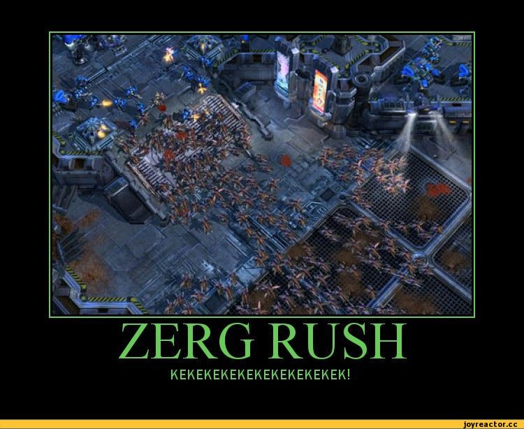 ﻿ZERG RUSH
KEKEKEKEKEKEKEKEKEKEK!,гиф анимация,гифки - ПРИКОЛЬНЫЕ gif анимашки,собаки,побег,песочница