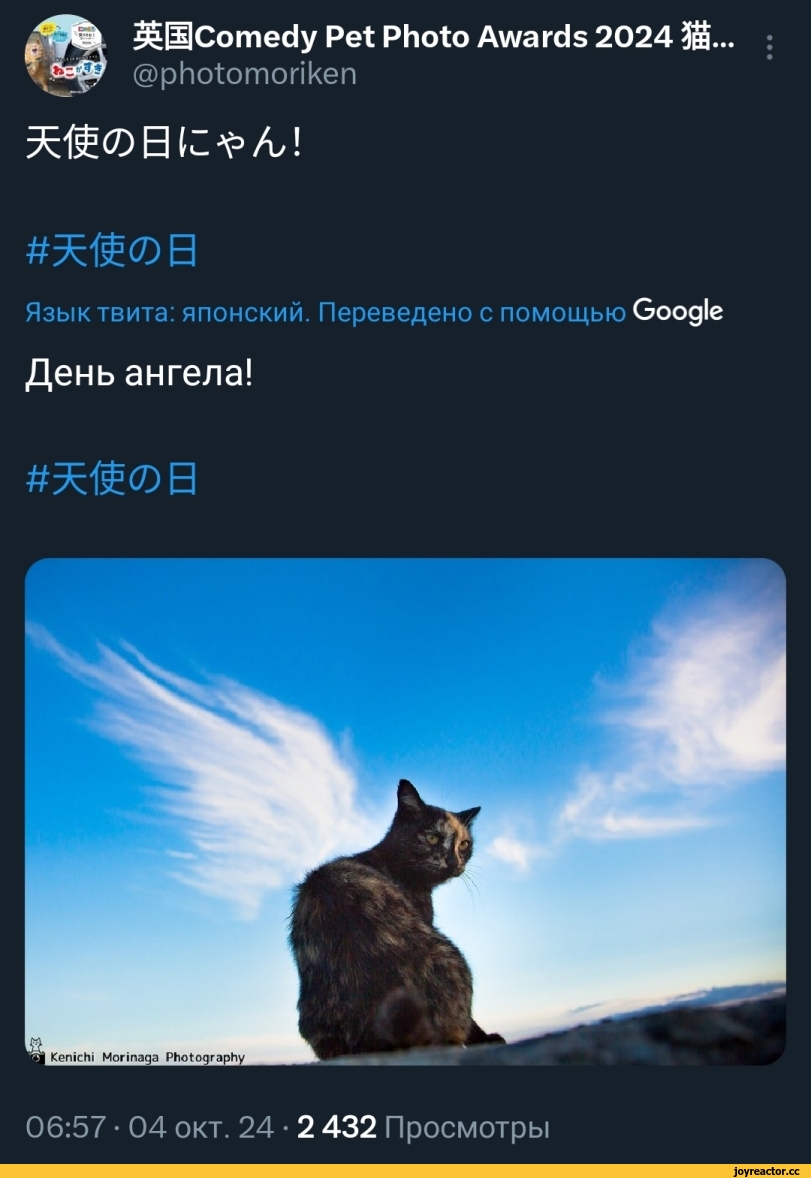 ﻿HSComedy Pet Photo Awards 2024 3S...
@photomoriken
В td ^	!
#шоа
Язык твита: японский. Переведено с помощью Google
День ангела!
06:57 • 04 окт. 24 • 2 432 Просмотры,котэ,прикольные картинки с кошками,облака,photomoriken