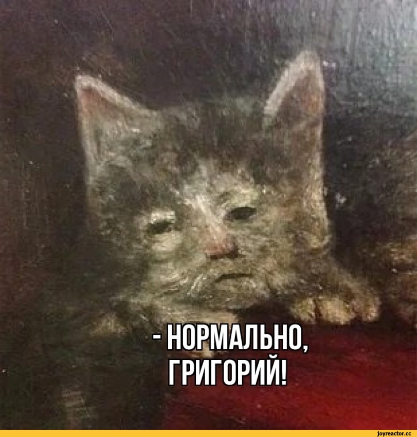 ,Приколы для даунов,разное,длинопост,котэ,прикольные картинки с кошками,каламбур,Легкая наркомания