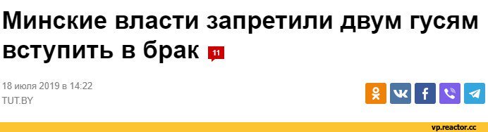 ﻿Минские власти запретили двум гусям вступить в брак р
18 июля 2019 в 14:22
тит.ву
□ □□□□,всё плохо,все плохо (и саловатно),фэндомы,гуси,разная политота