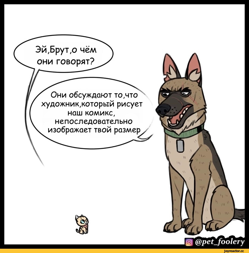 ﻿Эй,Брут,о чём они говорят?
Они обсуждают то,что художник,который рисует наш комикс, непоследовательно изображает твой размер
|ö) @pet_foolery,pet_foolery,Смешные комиксы,веб-комиксы с юмором и их переводы,Брут и Пикси,перевел сам