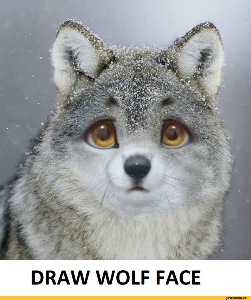 ﻿DRAW WOLF FACE,silverfox5213,artist,волк,арт