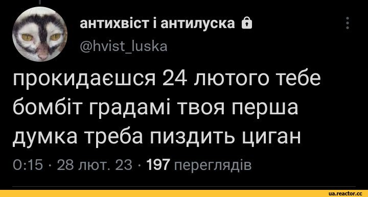 ﻿антихвют \ антилуска в
@Ыз1:_1и5ка
прокидаешся 24 лютого тебе бомб1т градам1 твоя перша думка треба пиздить циган
0:15 • 28 лют. 23 • 197 переглядю,Моя Україна,фэндомы,твитер,интернет,В свете последних событий,чвк редан,разная политота