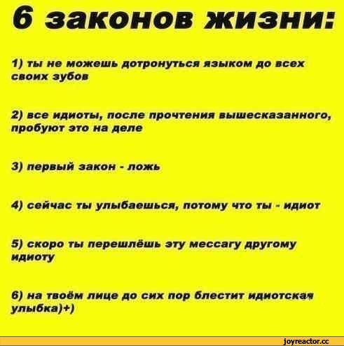 ﻿6 законов жизни:
1)	ты не можешь дотронуться языком до всех своих зубов
2)	все идиоты, после прочтения вышесказанного, пробуют это на деле
3) первый закон - ложь
4) сейчас ты улыбаешься, потому что ты - идиот
5)	скоро ты перешлёшь эту мессагу другому идиоту
в) на твоём лице до сих пор блестит